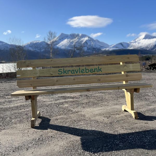 Hovedbilde Hagebenk med rygg